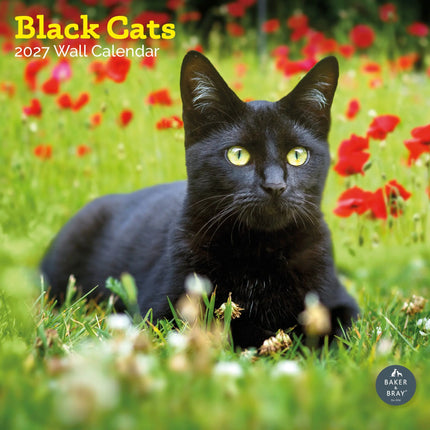 Baker & Bray Zwarte Katten Kalender 2027