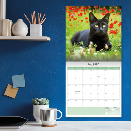 Baker & Bray Zwarte Katten Kalender 2027