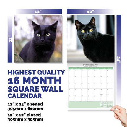 Baker & Bray Zwarte Katten Kalender 2027