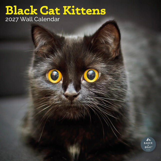 Baker & Bray Zwarte Kittens Kalender 2026