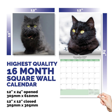 Baker & Bray Zwarte Kittens Kalender 2026