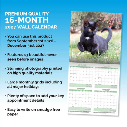 Baker & Bray Zwarte Kittens Kalender 2027