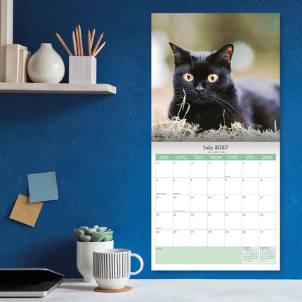 Baker & Bray Zwarte Kittens Kalender 2027