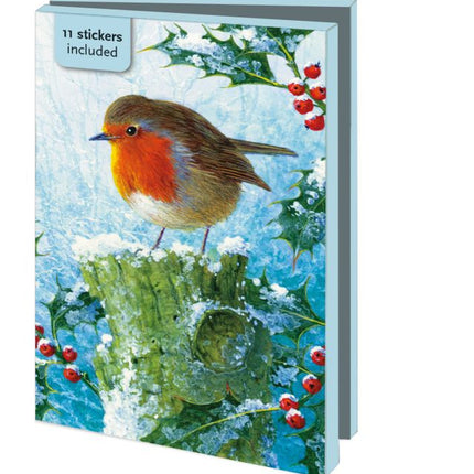 Bekking & Blitz Kaartenmapje 10 stuks met enveloppen – Robin in the Winter, Brian Rushton