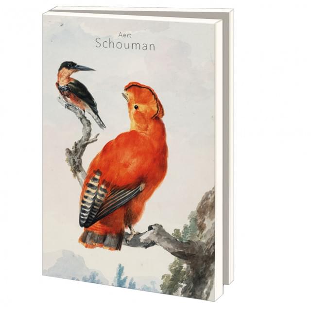 Bekking & Blitz Kaartenmapje Groot: Aert Schouman, Teylers Museum