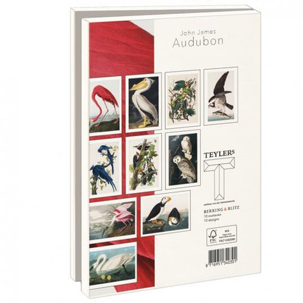 Bekking & Blitz Kaartenmapje Groot: John James Audubon, Teylers Museum