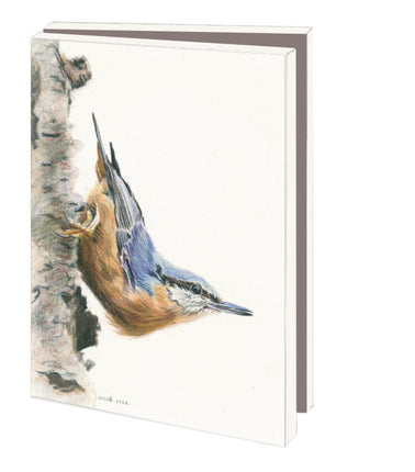 Bekking & Blitz Kaartenmapje met env, klein: Birds, Nicole Boerema