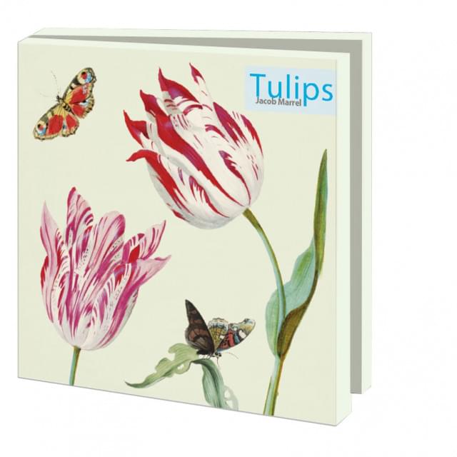 Bekking & Blitz Kaartenmapje Tulips, Jacob Marrel 10 Stuks