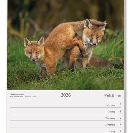Bekking & Blitz Nederland Natuurland Weekkalender 2026