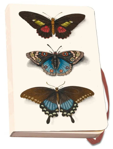 Bekking & Blitz Notitieboek A6, zachte kaft: Butterflies, Joseph Jakob von Plenck, The Fitzwilliam Museum