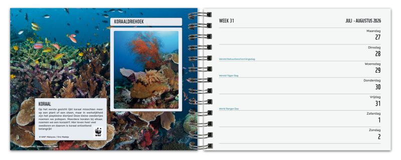 Bekking & Blitz WWF Weekagenda 2026