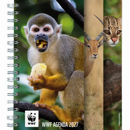 Bekking & Blitz WWF Weekagenda 2027