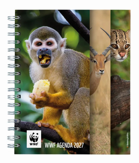 Bekking & Blitz WWF Weekagenda 2027