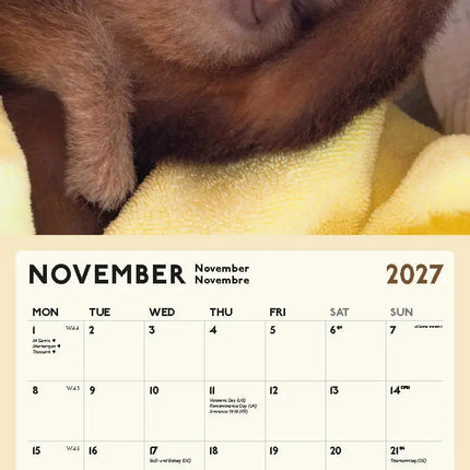 Blaustein Luiaard Kalender 2027