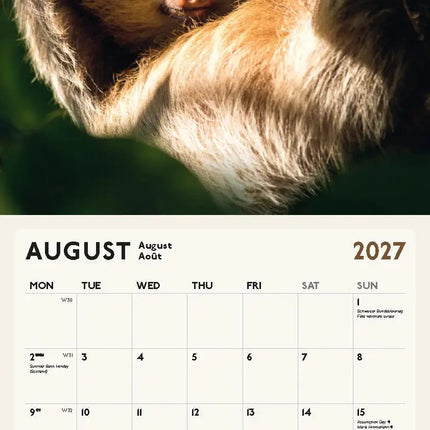 Blaustein Luiaard Kalender 2027