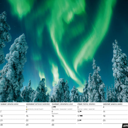 Blaustein Noorderlicht A3 Kalender 2026