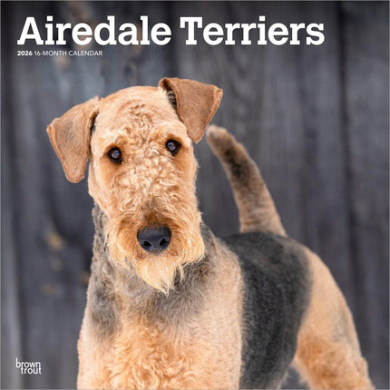 Browntrout Airedale Terrier Kalender 2026