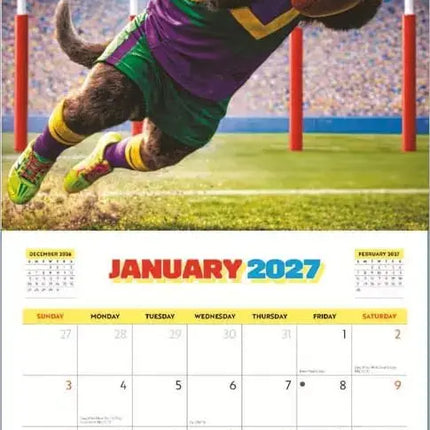 Browntrout Aussie Animals Kalender 2027