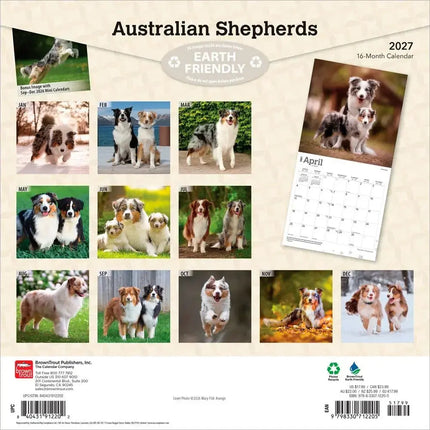 Browntrout Australian Shepherd Kalender 2027
