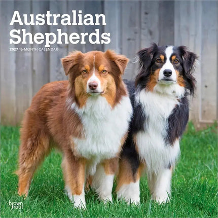 Browntrout Australian Shepherd Kalender 2027