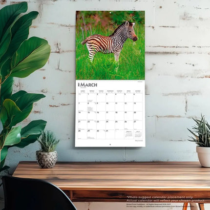 Browntrout Baby Animals Kalender 2027