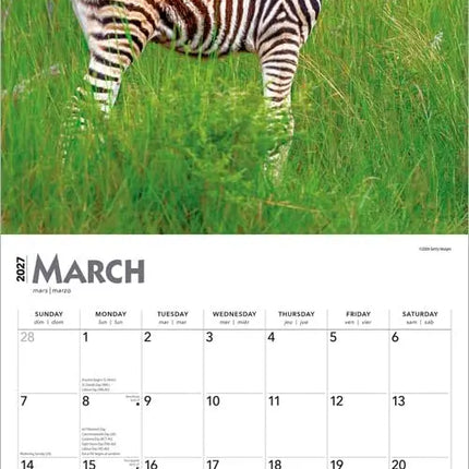 Browntrout Baby Animals Kalender 2027
