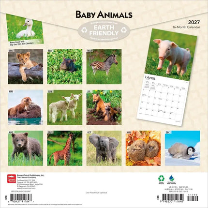 Browntrout Baby Animals Kalender 2027