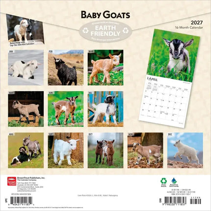 Browntrout Baby Geitjes Kalender 2027