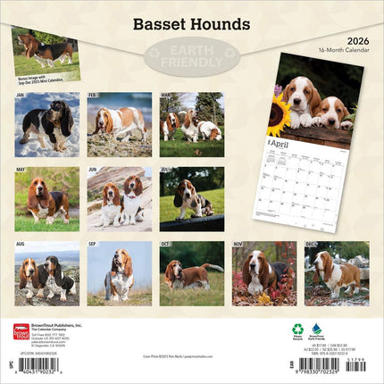 Browntrout Basset Hound Kalender 2026