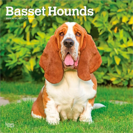 Browntrout Basset Hound Kalender 2027
