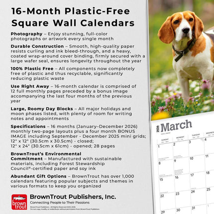 Browntrout Beagle Kalender 2027