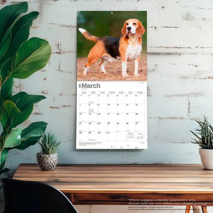 Browntrout Beagle Kalender 2027
