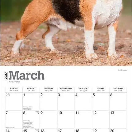 Browntrout Beagle Kalender 2027