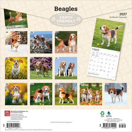 Browntrout Beagle Kalender 2027