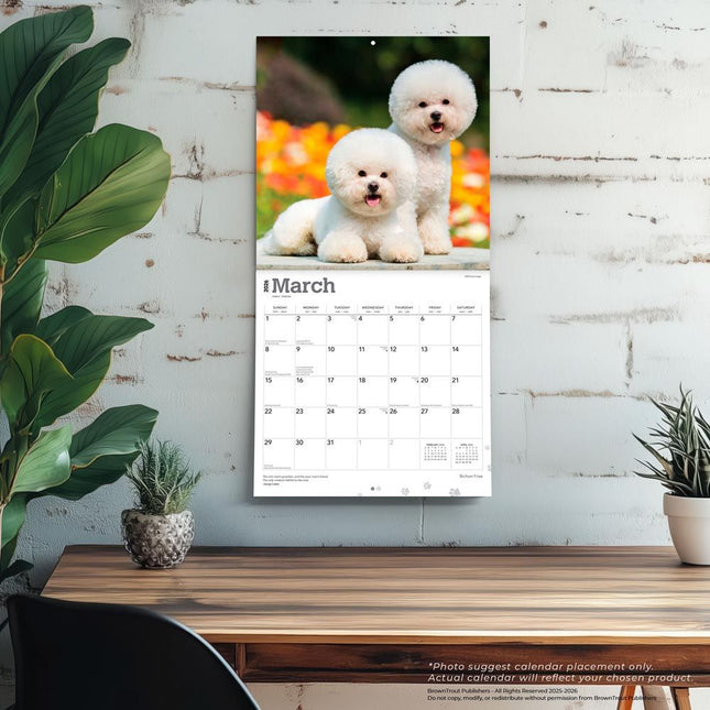 Browntrout Bichon Frise Kalender 2026