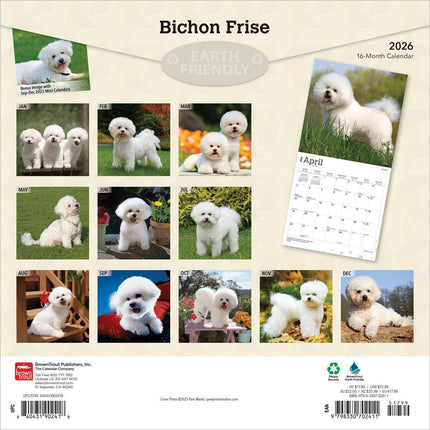 Browntrout Bichon Frise Kalender 2027