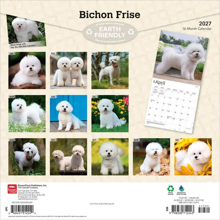 Browntrout Bichon Frise Kalender 2027