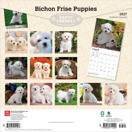Browntrout Bichon Frise Puppies Kalender 2027