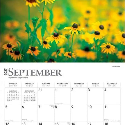 Browntrout Blessings Kalender 2027