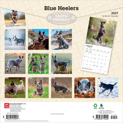 Browntrout Blue Heelers Kalender 2027