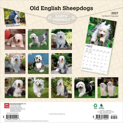 Browntrout Bobtail / Old English Sheepdog Kalender 2027