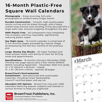 Browntrout Border Collie Puppies Kalender 2026