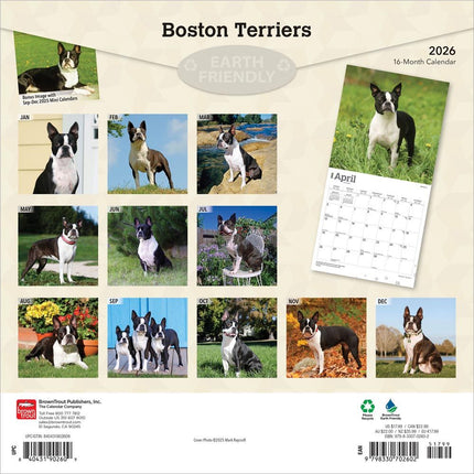 Browntrout Boston Terrier Kalender 2026
