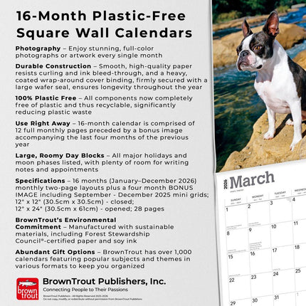 Browntrout Boston Terrier Kalender 2026