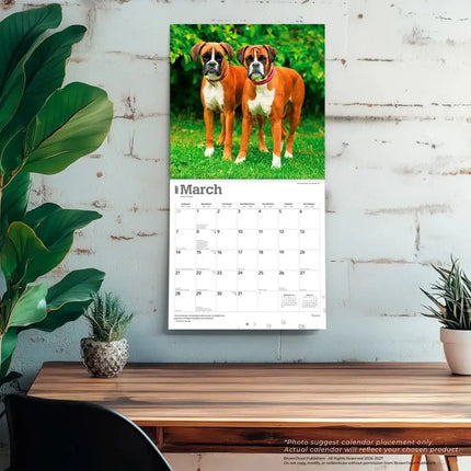 Browntrout Boxer Kalender 2027