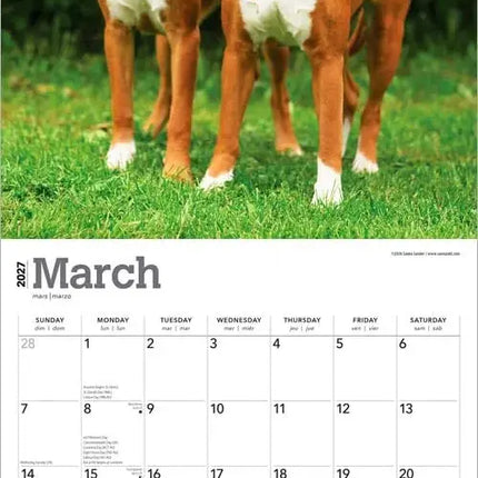 Browntrout Boxer Kalender 2027