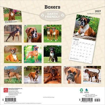 Browntrout Boxer Kalender 2027