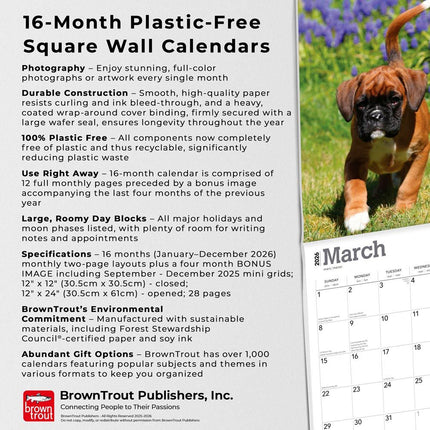 Browntrout Boxer Puppies Kalender 2026