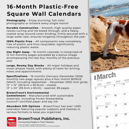 Browntrout Brittany Spaniel Kalender 2026