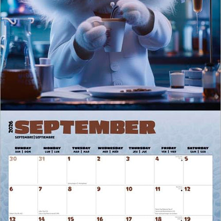 Browntrout Caffeine Cats Kalender 2027